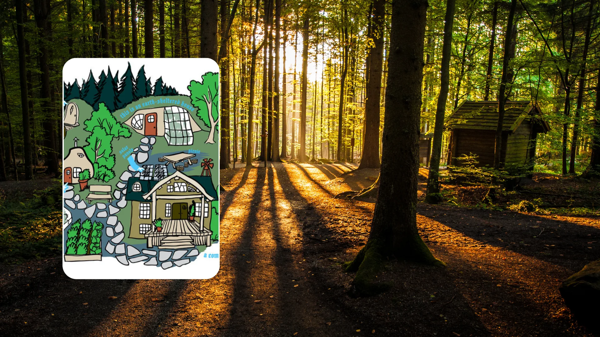 A more connected way of living. Forest sunbeams with a hand-drawn ecovillage illustration.