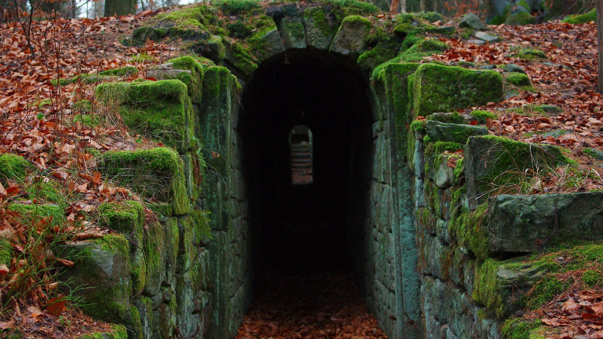 Mossy stone archway leading into a forest tunnel